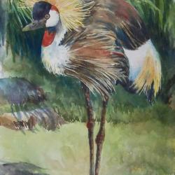 African Crowned Crane 14"x23" watercolor