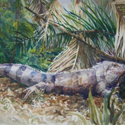 Iguana 20"x30" watercolor