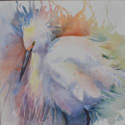 Ruffled Feathers 14"x14" watercolor